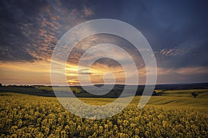 Dawn Sky over Rapeseed Fields