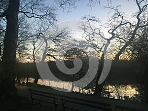 Dawn in Spring in Central Park in Manhattan, New York, NY.