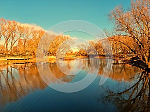 The dawn sun magically decorated the trees with golden color over the blue water of the pond.