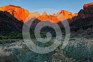 Dawn at Towers of the Virgin, Zion National Park, Utah