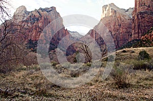 Dawn in Zion National Park, Utah, USA