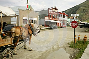 Dawson City