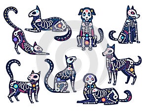 Day animals. Dia de los muertos, cats and dogs skulls, skeletons decorated with flowers, traditional mexican latin photo