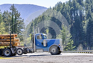 Day cab blue big rig semi truck transporting large wood logs on the semi trailer driving on the road with green forest