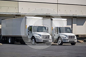 Day cab middle duty rig semi trucks with long box trailers loading cargo standing side by side in warehouse dock gates photo