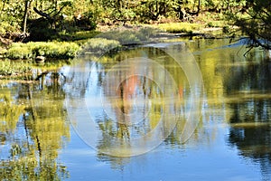 A Day at the Creek in Autumn