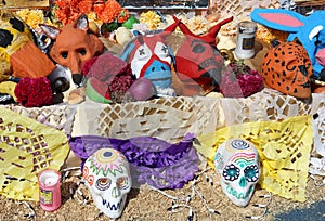 Day of the Dead celebration at UNAM in mexico city XI photo
