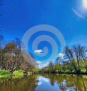 Day landscape, a lake with trees on the shore and a blue sky with white clouds. Sunny autumn day in the park. Beautiful panorama