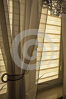 Day-night blinds in a cozy indoor room, near the window.