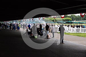 A Day At The Races- Belmont Park New York