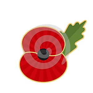 Day of Remembrance for the Victims of World War II. poppy symbol of memory