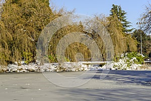 Day in a snow-covered park with green trees and bushes, icy lake