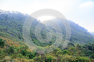 Day time with blue sky and sunray or sunbeam at Doi Luang Chiang Dao, Chaingmai, Thailand.