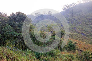 Day time with blue sky and sunray or sunbeam at Doi Luang Chiang Dao, Chaingmai, Thailand.