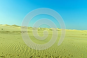 Day time in the desert, a safari in Abu Dhabi.Clear blue sky, beautiful day