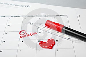 Day to conceive child. Family planning. Ovulation Day in calendar photo