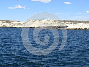 Day trip by boat at Puerto Madryn bay