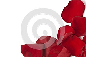 Day Valentine rose petals as background