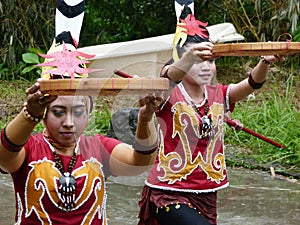 Dayak dance