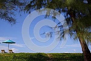 Daybeds on the Beach