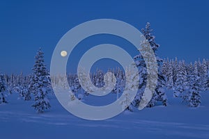 Daybreak with moon.Winter in Lapland, Sweden, Norrbotten