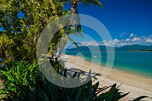 Daydream Island