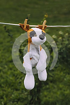 daylight. on a clothesline hanging soft children's toys. they are fixed with a clothespin