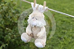 daylight. on a clothesline hanging soft children's toys. they are fixed with a clothespin