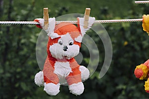 daylight. on a clothesline hanging soft children's toys. they are fixed with a clothespin