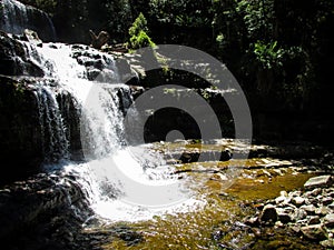 Daylight picture of Liffey falls in Midlands region of Tasmania