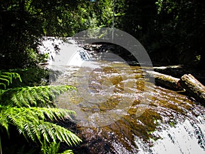 Daylight picture of Liffey falls in Midlands region of Tasmania