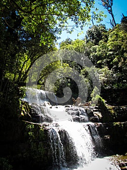 Daylight picture of Liffey falls in Midlands region of Tasmania