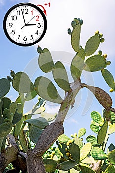Daylight Saving Time. DST. Wall Clock going to winter time. Turn time forward