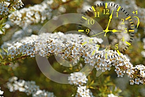 Daylight Saving Time. DST. Wall Clock going to winter time. photo