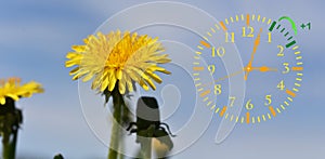 Daylight Saving Time. DST. Wall Clock going to winter time.