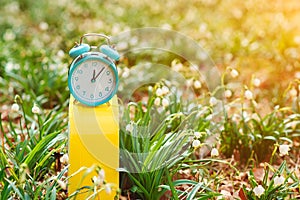 Daylight saving time reminder. Spring time change background. The first white spring snowdrops