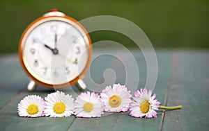Daylight savings concept, clock and flowers