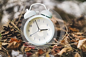 daylight savings time alarm clock fall back