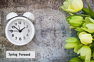 Daylight Savings Time Spring Forward concept top down view with white clock and green tulips photo