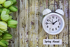 Daylight Savings Time Spring Ahead concept top down view with white clock and green tulips