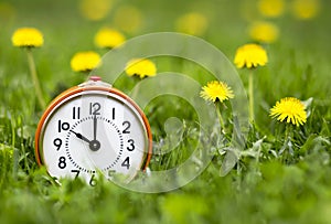 Daylight savings time, spring forward - alarm clock and dandelion flowers photo