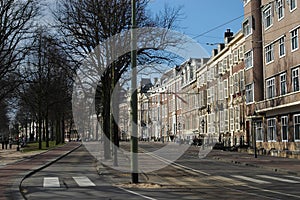 A daylight scene in the city center of Den Haag, Holland - a street, architecture, trees