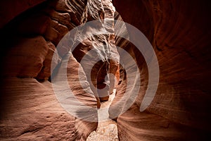 Daylight Slowly Creeps Into Wire Pass Slot Canyon