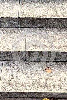 daylight. steps marble stairs going up Close-up