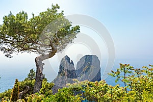 Daylight view of famous Faraglioni rocks from Capri island, Ital