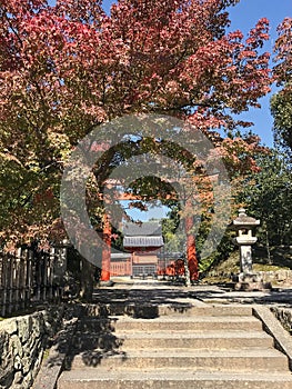 Daylight view to red gate entering in a japanese temple