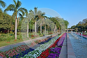 Daylighting view of beautiful multicolor flowers with a fountain of Talkatora garden