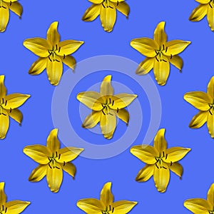 Daylily flowers repeating pattern