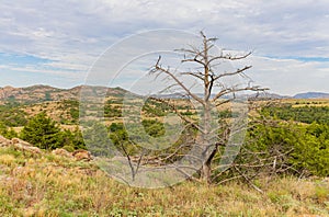 Daytime landscape of the Wichita Mountains National Wildlife Refuge