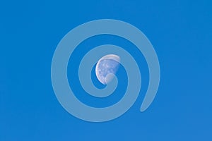 Daytime moon